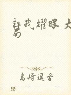 许我耀眼 大结局