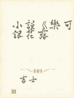 小说《乐可》金银花露封面