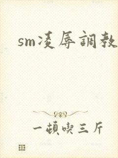 sm凌辱调教文封面