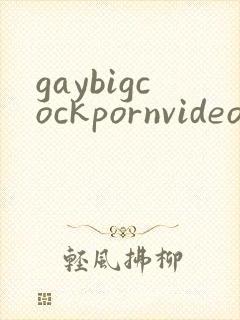 gaybigcockpornvideo