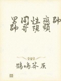 男同性恋帅哥操帅哥视频