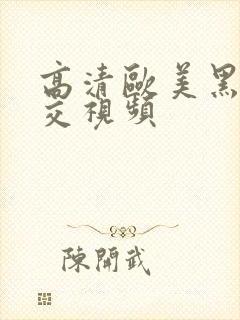 高清欧美黑人猛交视频