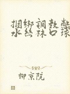 捆绑调教憋尿灌水丝袜口球小说封面