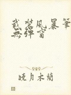 武装风暴笔趣阁无弹窗