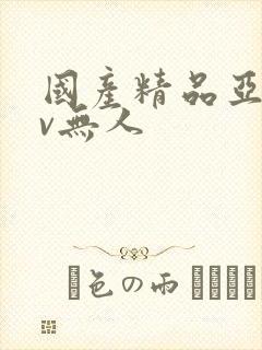 国产精品亚洲av无人