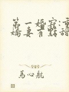 第一婚宠:重生娇妻有点甜小说