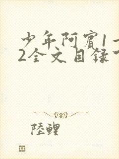 少年阿宾1一72全文目录下载