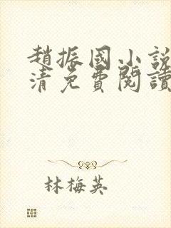 赵振国小说宋婉清免费阅读