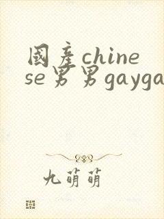 国产chinese男男gaygay网站肌肉