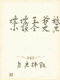 坏坏王爷放肆爱小说全文免费阅读封面