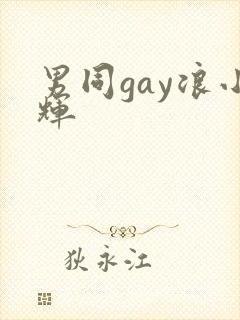 男同gay浪小辉封面