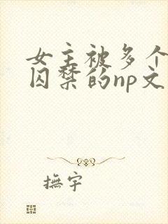 女主被多个男主囚禁的np文