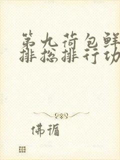 第九荷包鲜辣肉排总排行功能介绍