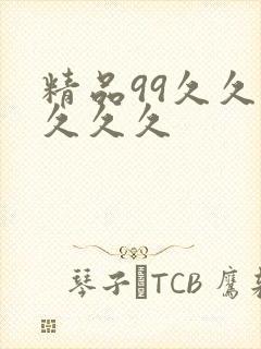 精品99久久久久久久