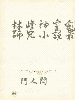 林峰神霄剑宗大师兄小说最新章节封面