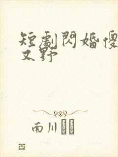 短剧闪婚傻妻甜又野