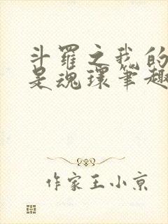 斗罗之我的武魂是魂环笔趣阁