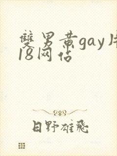 双男黄gay片18网站封面