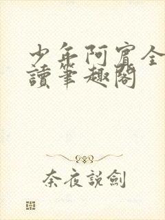 少年阿宾全文阅读笔趣阁封面