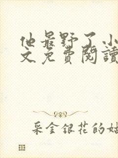 他最野了小说全文免费阅读无弹窗