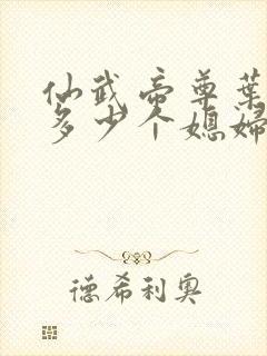 仙武帝尊叶辰有多少个媳妇