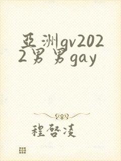 亚洲gv2022男男gay