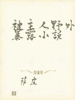 被主人野外调教暴露小说封面