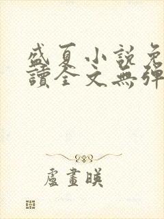 盛夏小说免费阅读全文无弹窗