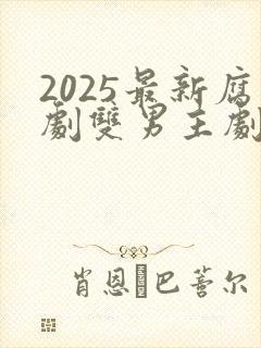 2025最新腐剧双男主剧