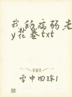 我的病弱老婆by花卷txt封面