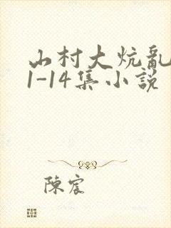 山村大炕乱肉续1-14集小说