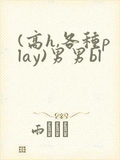 (高h,各种play)男男bl