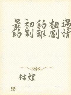 最初的相遇最后的别离剧情介绍
