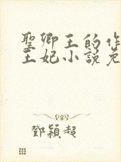 圣卿王的作妖小王妃小说免费阅读