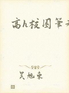 高h校园笔趣阁封面