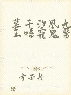 慕千汐凰九夜邪王嗜宠鬼医狂妃无弹窗