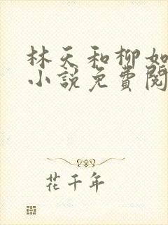 林天和柳如烟的小说免费阅读