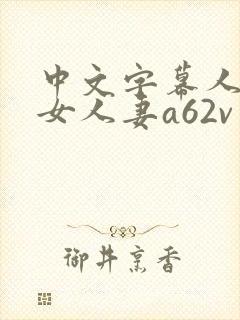 中文字幕人妻熟女人妻a62v视频