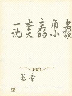 一本主角名字叫沈天的小说