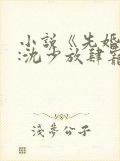 小说《先婚后爱:沈少放肆宠》