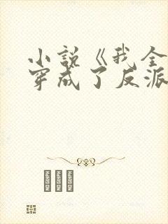 小说《我全家都穿成了反派》