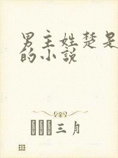 男主姓楚是军人的小说