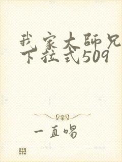 我家大师兄漫画下拉式509