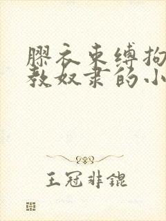 胶衣束缚拘束调教奴隶的小说