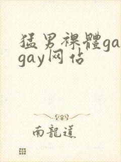 猛男裸体gaygay网站