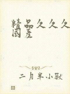 精品久久久久久国产