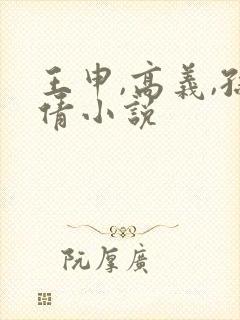 王申,高义,孙倩小说