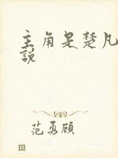 主角是楚凡的小说封面