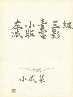 左小青三级无删减版电影