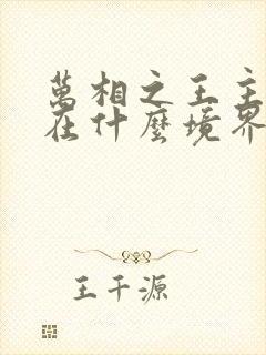 万相之王主角现在什么境界